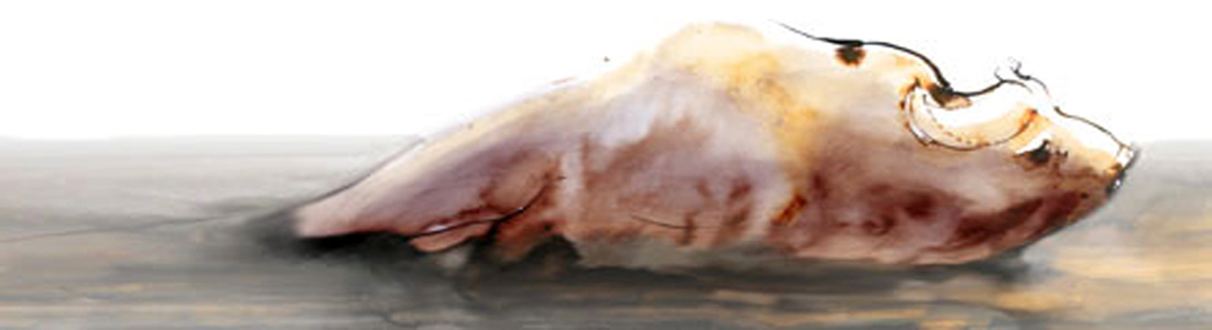 Tai Chi Intégral (CK10)